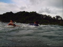 Surfen met vrienden